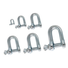 High Tensile D Shackles Forged Anchor Shackles