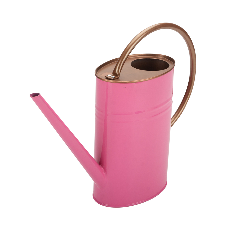 Pink Watering Can