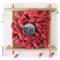 Factory Price Red Goji Vitamins