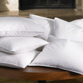 Wholesale healthy 100% Cotton duck feather down pillow