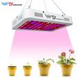 WENYI 1000W Double Chips LED Plant Grow Light