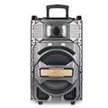 OEM portable pa system