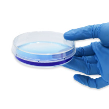 Different Sizes Plastic Petri Dishes For Growing Bacteria