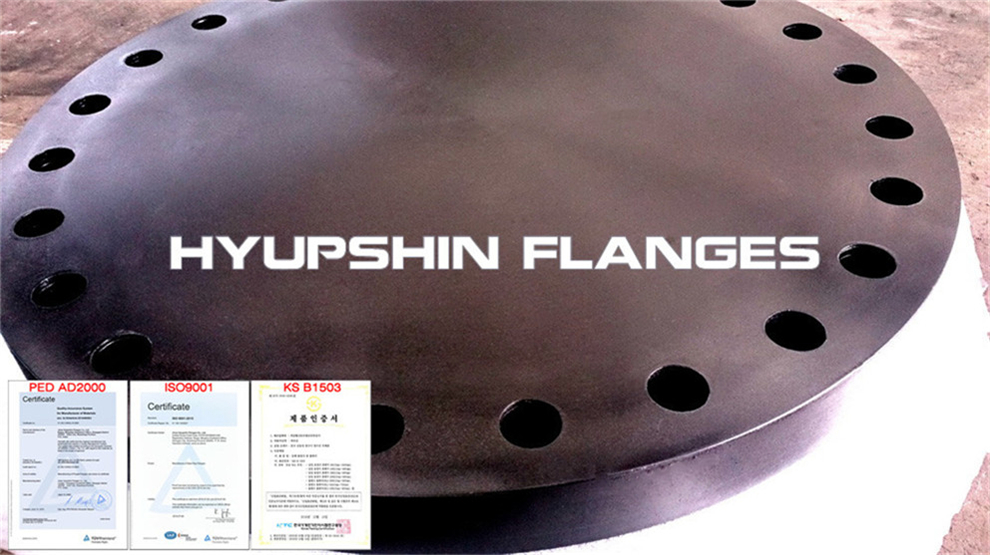 Hyupshin Flanges Ansi Asme 600 900 1500 2500 Blank