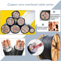 Overhead -Stromkabel PVC/PE isoliert/AAC AAC ACSR al. Alloy Leiterkabel Drahtspannungsstromkabel