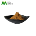 Bulk Hericium Erinaceus Mushroom Extract