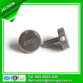 China Screws M4 Stainless Steel Knurled Screw