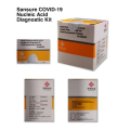 Novel Coronavirus (2019-nCoV) Kit de diagnostic d&#39;acide nucléique