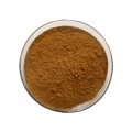 MUNK SILK EXTRACT Powder Factory Supply CAS 84696-06-0