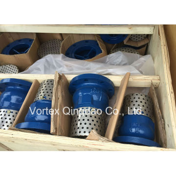 Flange End Foot Valve with Filter