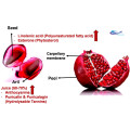Granatum punica granatum extracto punica granatum planta