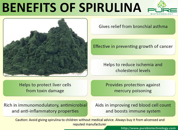 Top Grade NOP EU Certified Organic Spirulina Powder (6)