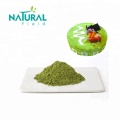 Pó Matcha orgânico de grau 3A 4A 5A 7A