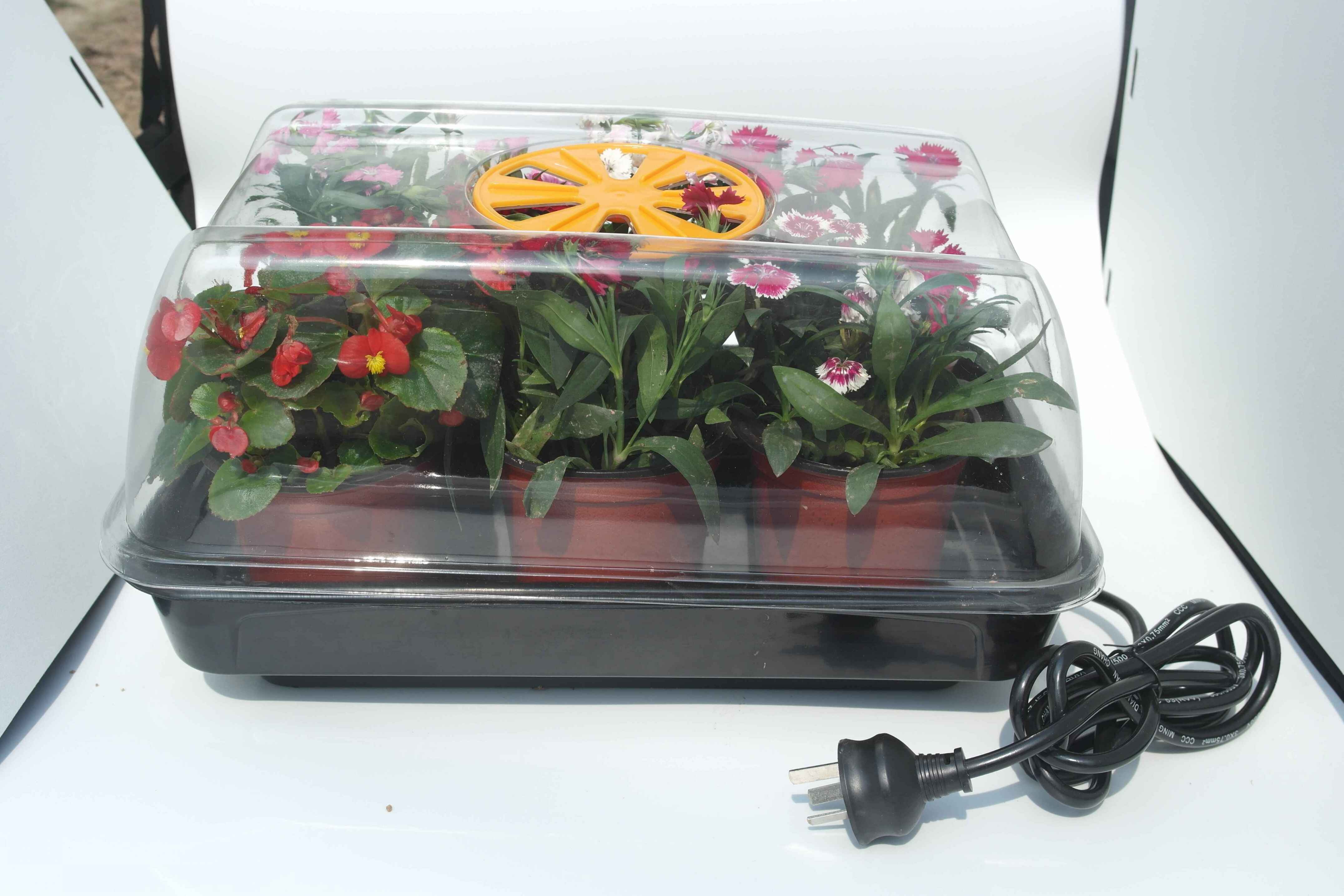 Plant seeding tray