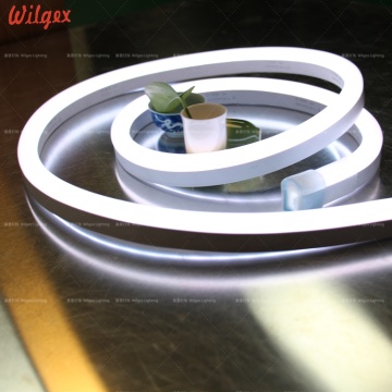 50M 24 volts SMD2835 LED strip neon