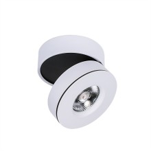 Dim 12W Cob LED Spotlight avec CE