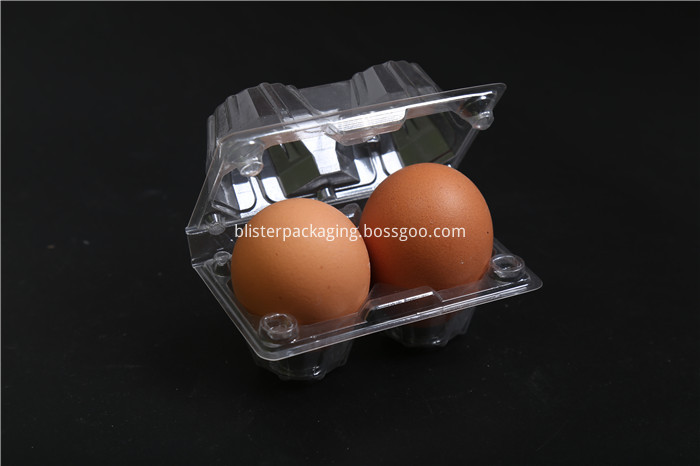 Rectangular Plastic Egg Tray