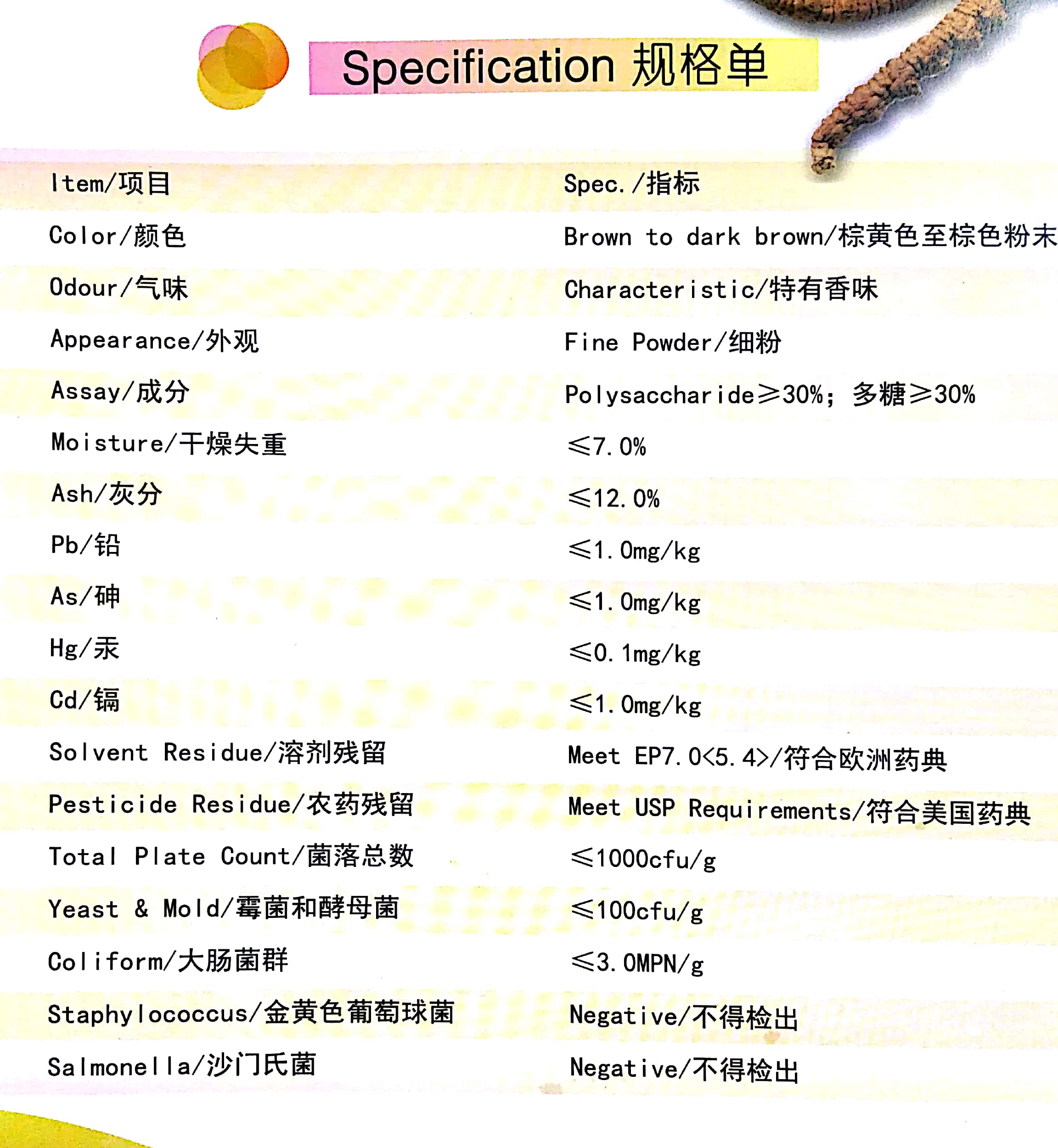 Cordyceps sinensis spec