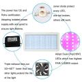 Vegetable Bloom Switchable Full Spectrum LED Grow Light