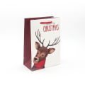 Latest Christmas Gift Bag Kids Paper Bag