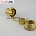 PE Straight Coupling Brass Fitting