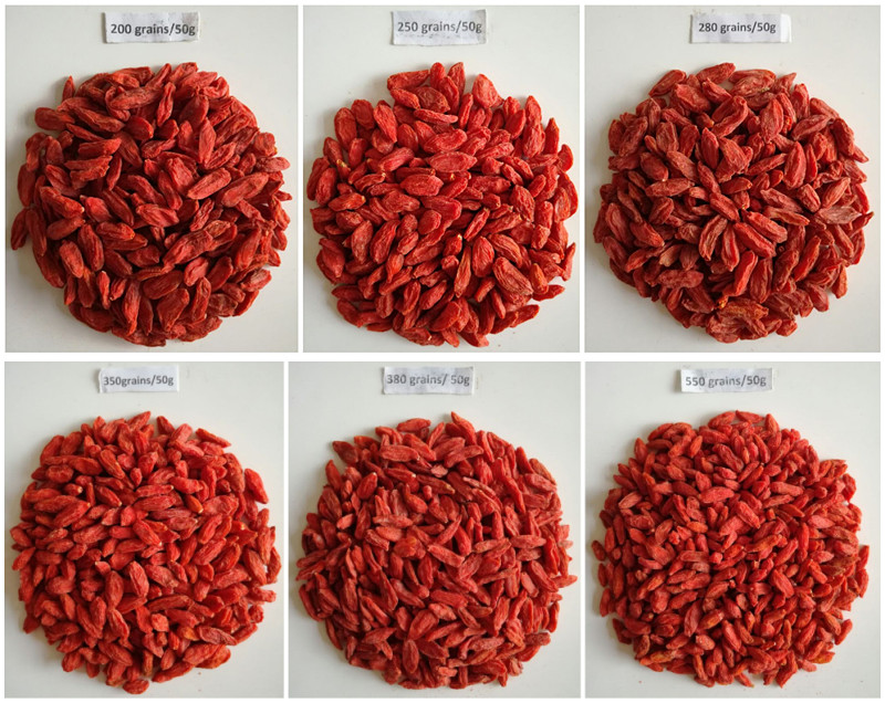 various specification of Goji berry wolfberry