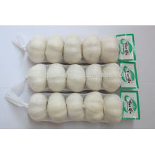 White Color Garlic from China