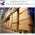 Empresa de transporte Paket International Courier Express pacote de serviço da China para todo o mundo