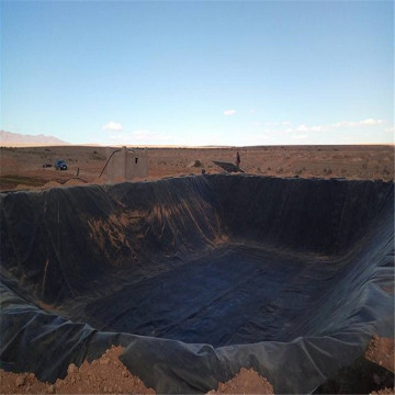 Geomembrane HDPE/LDPE for Architectural Engineering