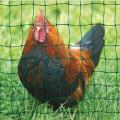 Uv Stablized Plastic Anti Animals Garden Fence