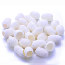 High Quality Silk Cocoons for Crafting, Handmade Accessories