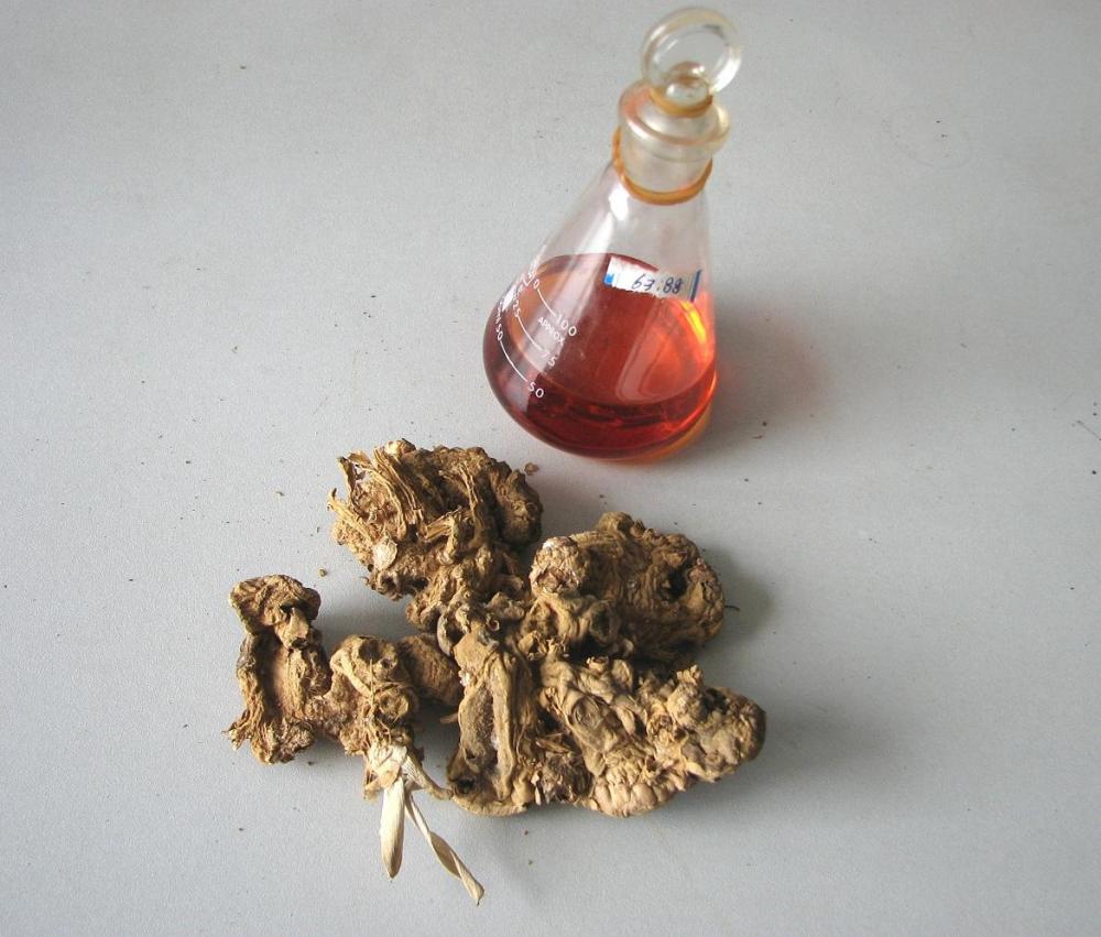 Ginger root essential oil for body massage