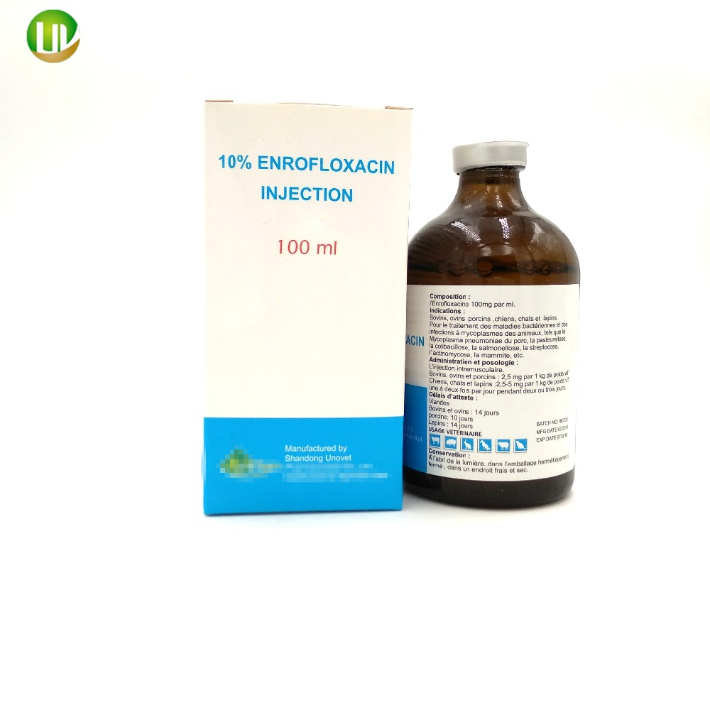 10% 100ml Enrofloxacin Injection