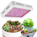 Grow light kit for seedlings