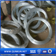 Galvanized Iron Wire in China Factory Market