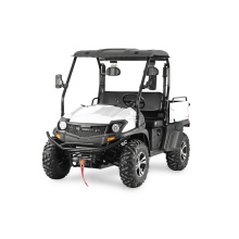 Benzinmotor 200cc UTV mit EPA