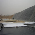 Anti-seepage Black Plastic Membrane in Swimming Pool