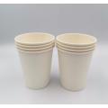 12oz 100% Biodegradable Disposable PLA Paper Cups