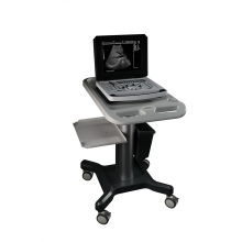 Notebook Color Doppler Ultrasound Machine for Prostate