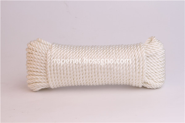 Polyester Twist Rope