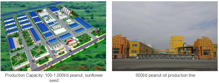 Peanut Oil, Sunflower Seed Oil Production Line