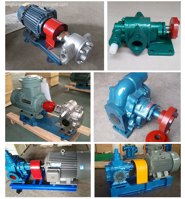 Oil Transfer Gear Pump