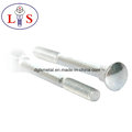 High Quality Fastener Carriage Bolts with Zinc Plated Carbon Steel