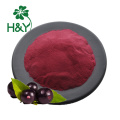 Factory Supply 100% Acai Berry Juice Powder