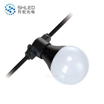 Addressable Waterproof IP65 LED Bulb Festoon Lighting