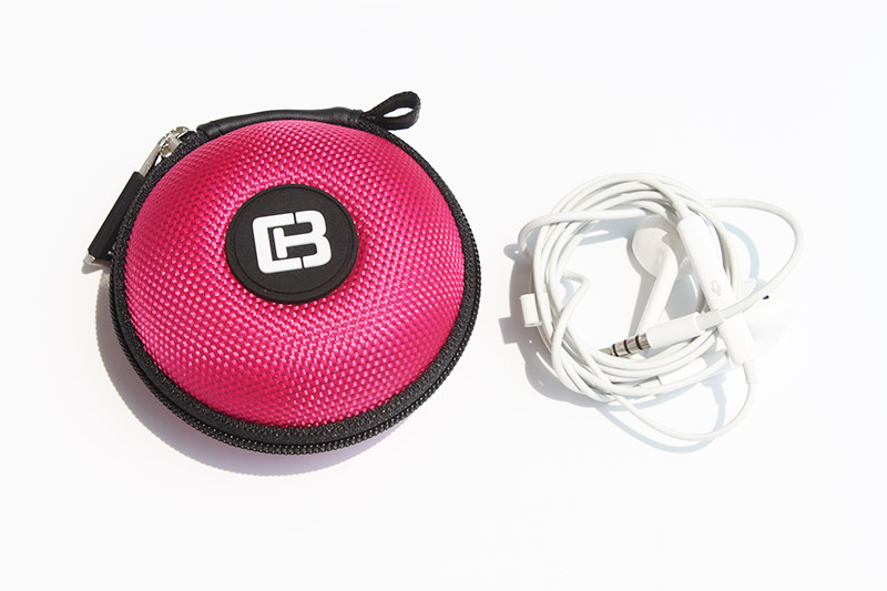 earphone case