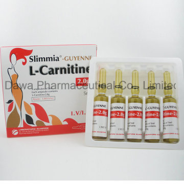 Metabolise Fat and Build Muscle L Carnitine Injection for Slimming