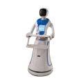 Dish Delivery Robot Humanoid Robot Waiter