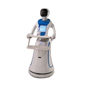 Dish Delivery Robot Humanoid Robot Waiter