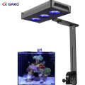 Rifffischtank Aquarium LED -Beleuchtung